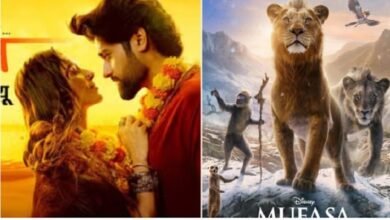 Mufasa VS Vanvaas Box Office