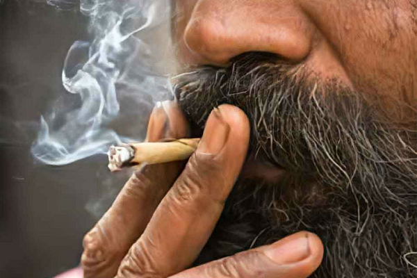Addicted to Beedi Smoking