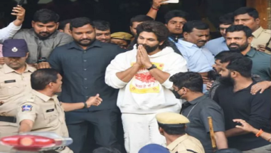 Allu Arjun