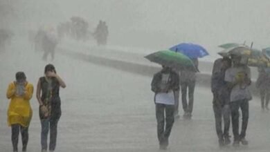 Weather Alert