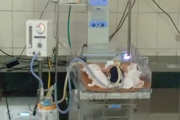 Finding a Newborn