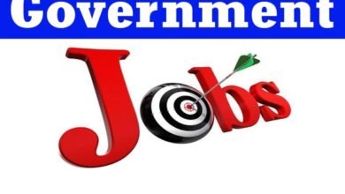 Government Job