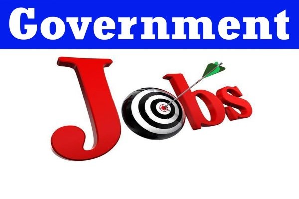 Government Job