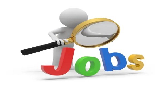 CG Job News