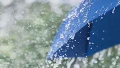 CG Weather Update