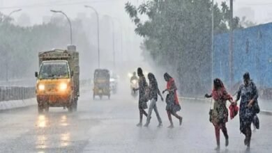 Weather Alert