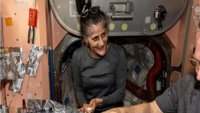 Sunita Williams In Space