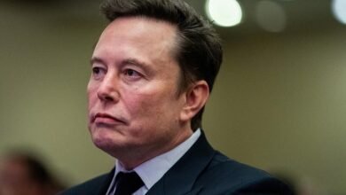 elon musk prediction