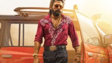 Pushpa 2 Box Office