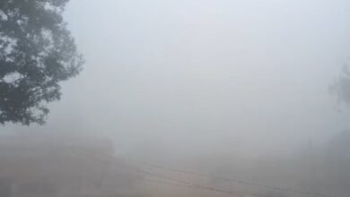 Today Weather