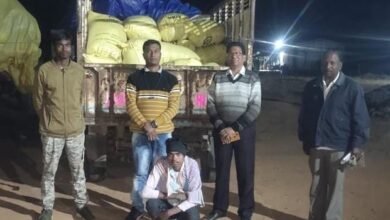 Makdi News