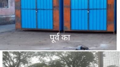 घरघोड़ा