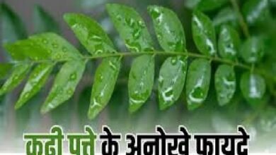 Curry Leaves Benefits