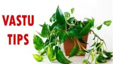 Vastu Tips