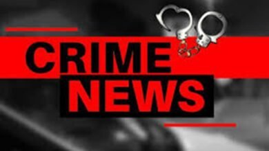 CG CRIME :