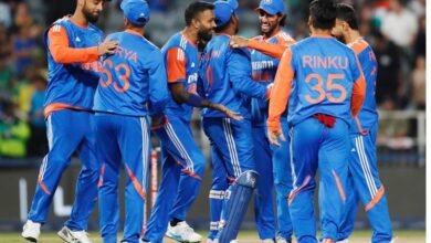 T 20 series
