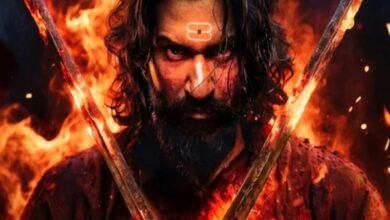 Chhaava Box Office Collection