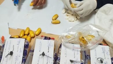 drug smuggling