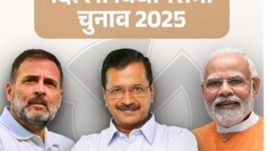 Delhi assembly elections