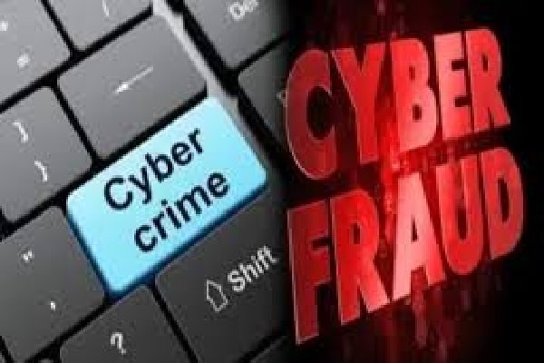 Cyber Fraud