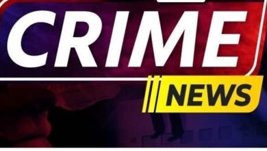 CG CRIME :