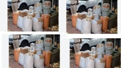 Goa drugs smuggling
