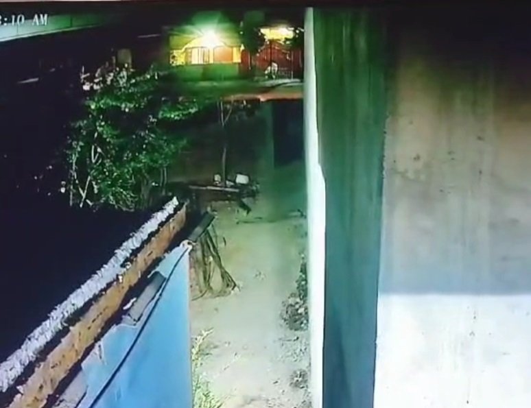 Korea Accident