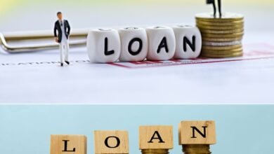 PMEGP Loan Scheme Details