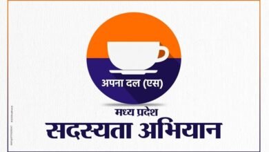 Mp NEWS