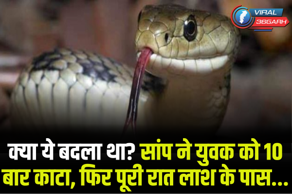 Snake Bite Death News