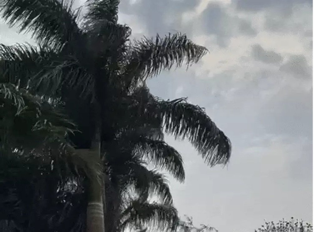 weather News